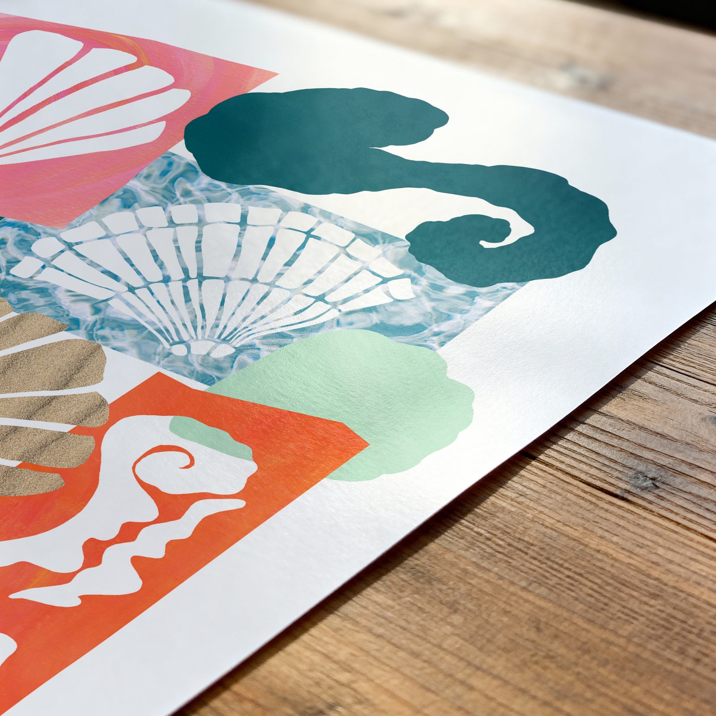 Shell Collage Print